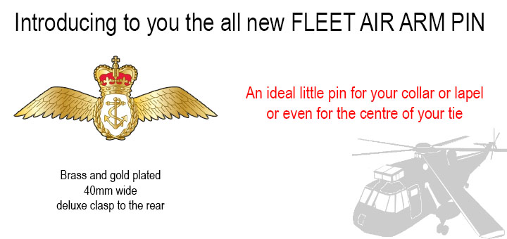 Fleet air arm pin